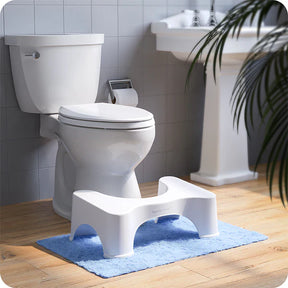 Hozme Squatty Potty Stool